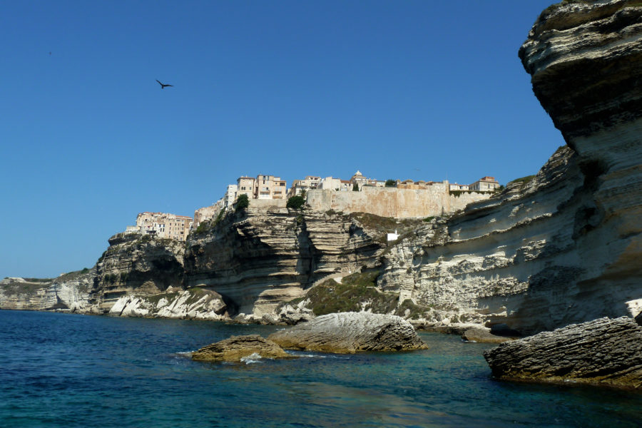 Bonifacio