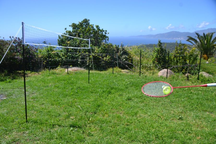 Badminton