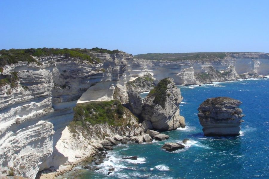 Bonifacio