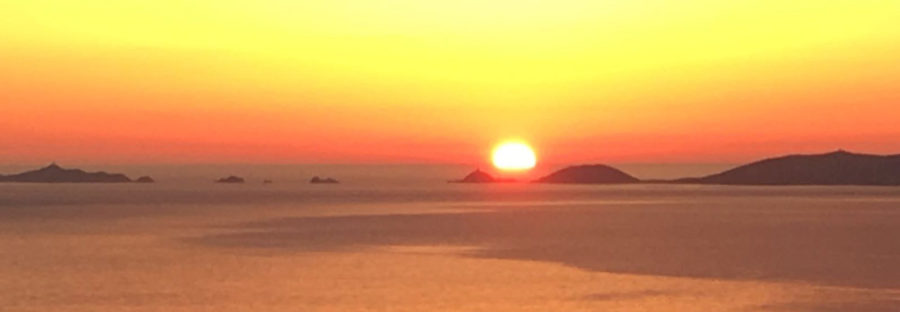 cropped-20190109.jpg