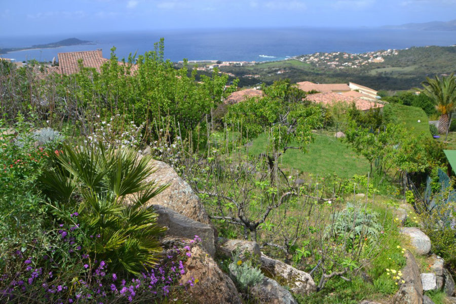 Jardin fleuri