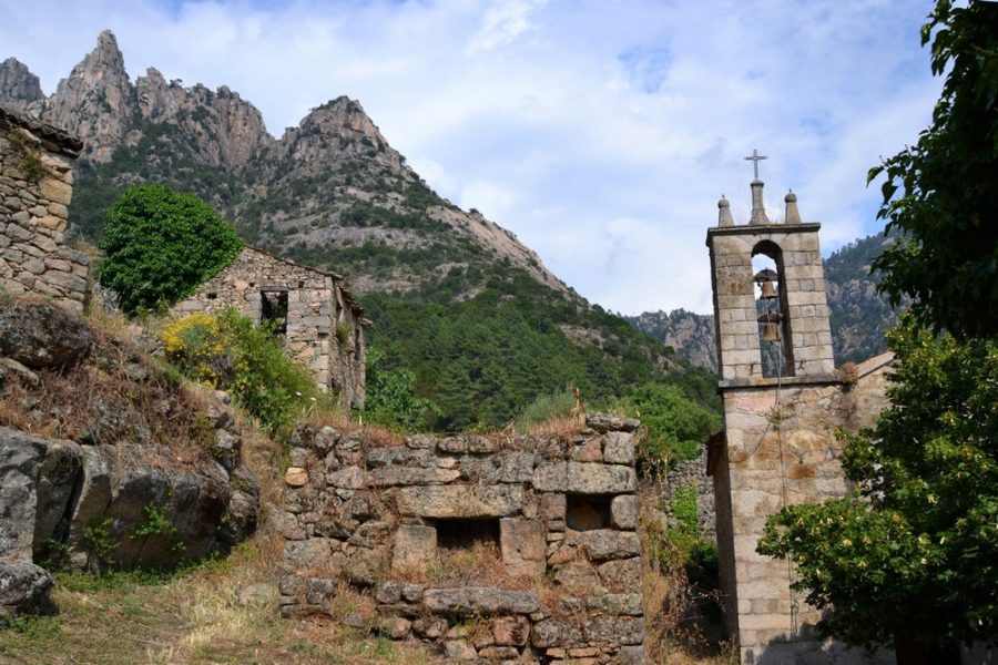 Muna