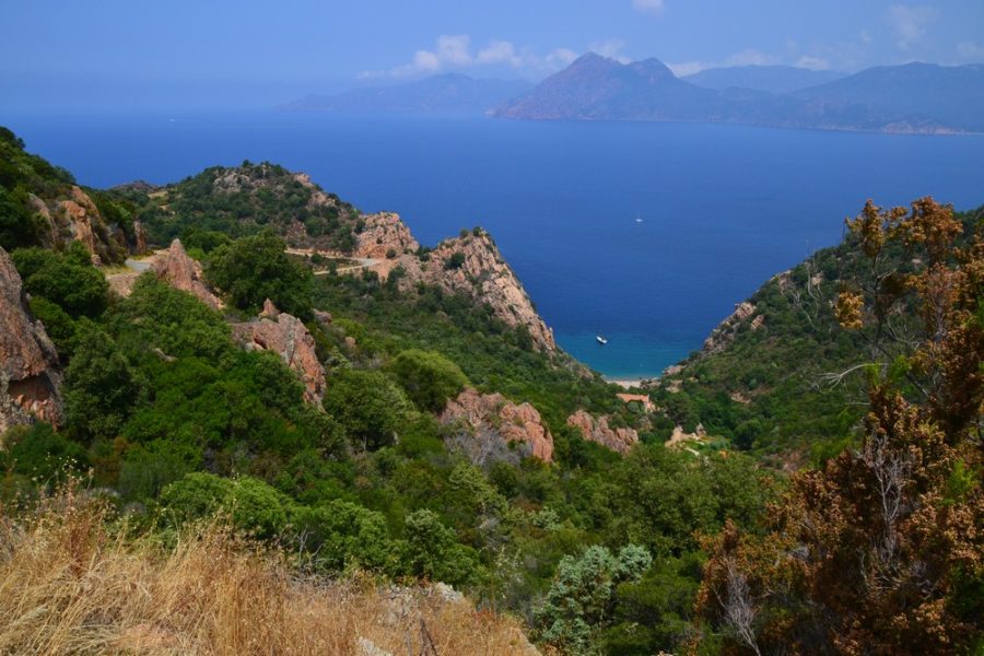 Piana