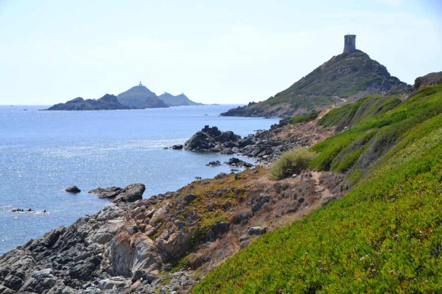 Îles Sanguinaires